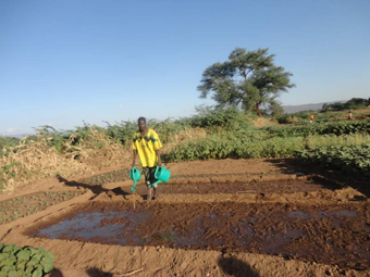 A member of the refugee community at the Kakuka refugee camp watering his vegetables.: Photograph © UNESCO/Nairobi Office